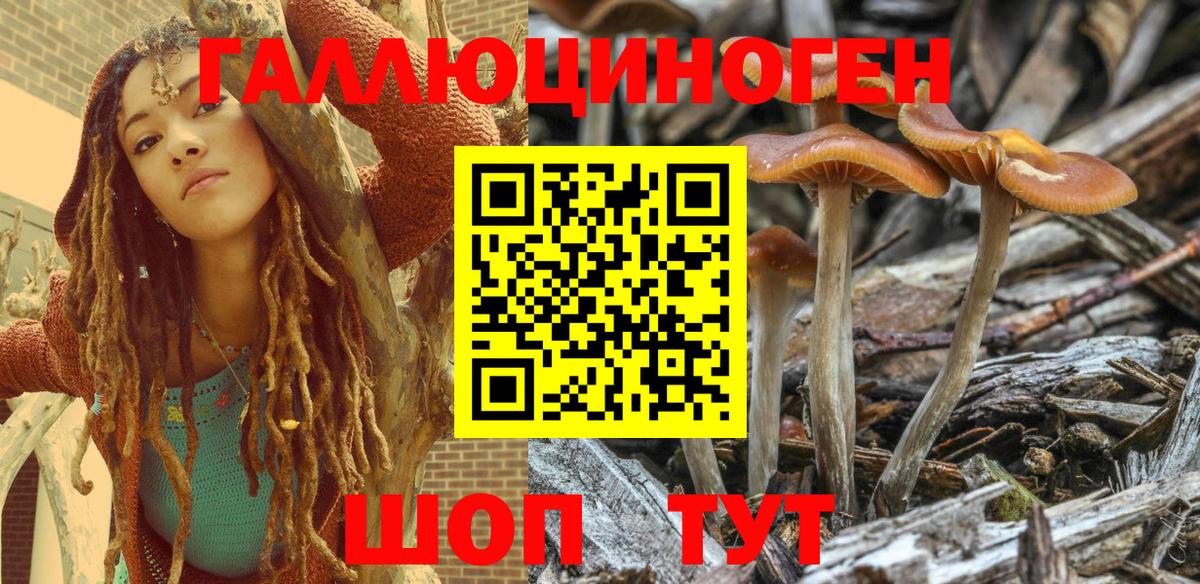 Галлюциногенные грибы Magic Shrooms  Вход с VPN  Киреевск  Псилоцибиновые грибы прущие грибы 