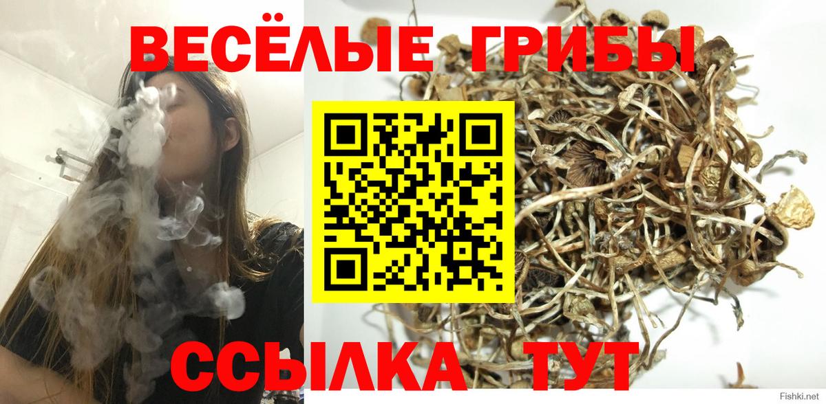Галлюциногенные грибы мухоморы Киреевск